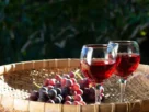 A História do Vinho no Brasil
