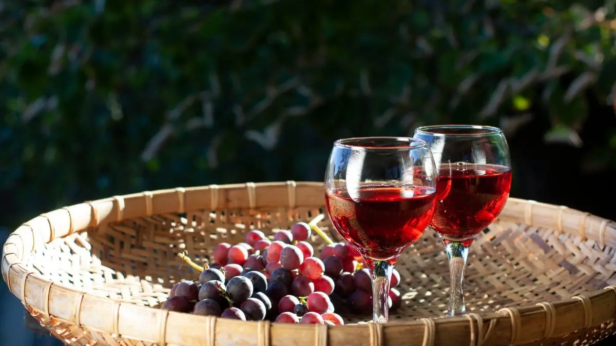 A História do Vinho no Brasil: Da Colonização aos Vinhos Premiados Mundialmente 1 A História do Vinho no Brasil