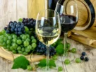 Conservacao-de-Vinhos-Brancos-e-Tintos